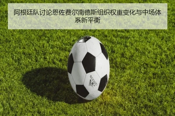 a-gen-ting-dui-tao-lun-en-zuo-fei-er-nan-de-si-zu-zhi-quan-zhong-bian-hua-yu-zhong-chang-ti-xi-xin-ping-heng-3-578.jpg