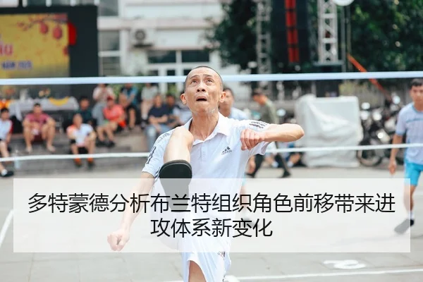 duo-te-meng-de-fen-xi-bu-lan-te-zu-zhi-jue-se-qian-yi-dai-lai-jin-gong-ti-xi-xin-bian-hua-2-308.jpg